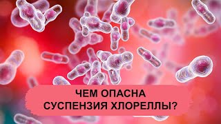 ЧЕМ ОПАСНА СУСПЕНЗИЯ ХЛОРЕЛЛЫ?