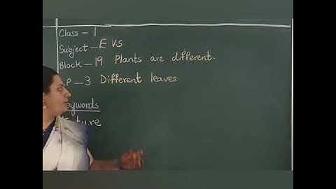 Date: 12-02-2021 Class: 1 Subject : E.V.S Block 19 S3 Different leaves.