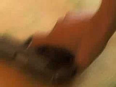 "Baise-Moi" - Trailer
