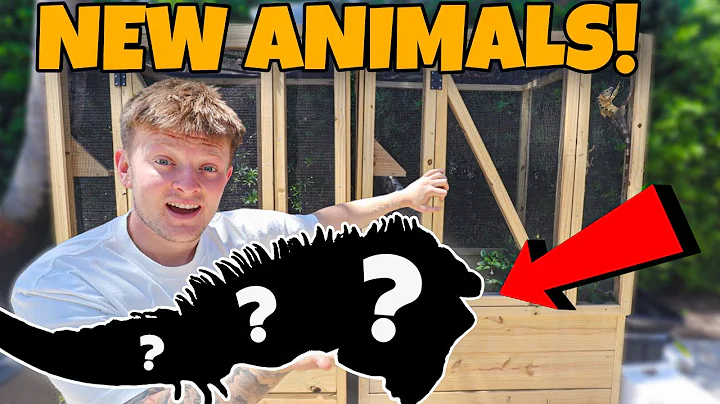 BUYING NEW EXOTIC ANIMALS! thumbnail