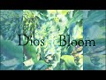 【中日歌詞】Dios - 「Bloom」《純粹中翻》