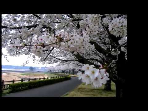 何か一つ☆