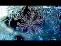 ОПЫТ СО СНЕГОМ ❄ Опыты и эксперименты ➄