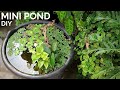 Simple diy mini pond anyone can build  walstad style mini pond with floating plants and fish