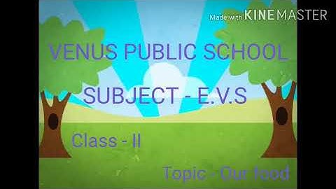 EVS#CLASS-2#Our food