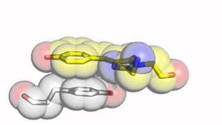 YFP (Yellow Fluorescent Protein)  chromophore