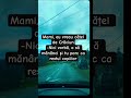 Cadou de Crăciun #foryou #glume #funny