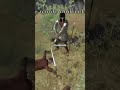 Warband'da Silahlı Ateş😧