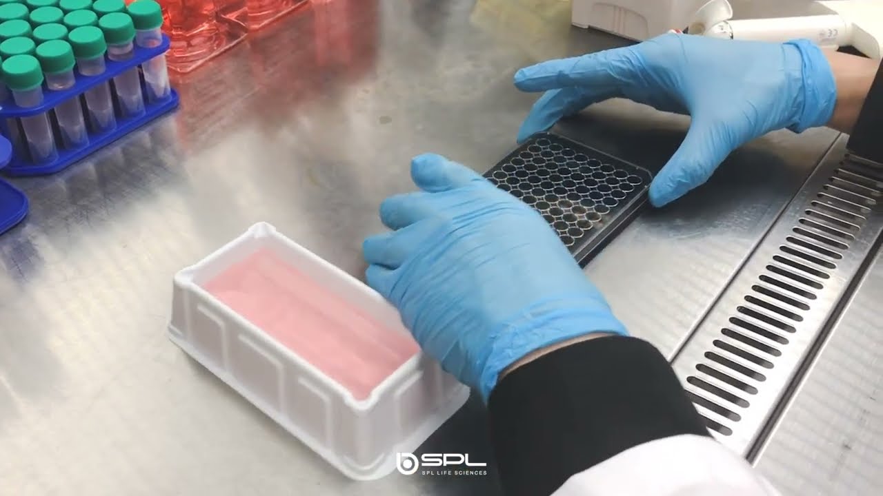 Black Plate : Efficient light blocking for microscopic observation - Fluorescence Experiments