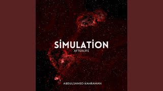 Simulation