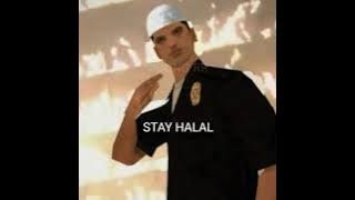 STAY HALAL BROTHER SONG