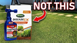 How To Easily Improve Your Lawn In Only 5 Simple Steps