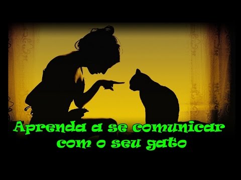 Aprenda a se comunicar com o seu gato. #20