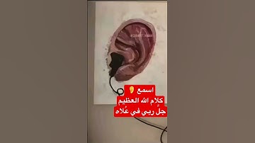 تلاوة ما تيسّر من سورة الحاقة ( سعود الشريم)