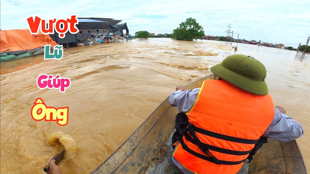 Vỡ Bờ Bao Nước Tràn Vào Ngập Mất Lò Gạch Trăm Tỷ Và Giúp Ông Mắc Kẹt Ngoài Khơi Về Nhà / Quế Nghịch