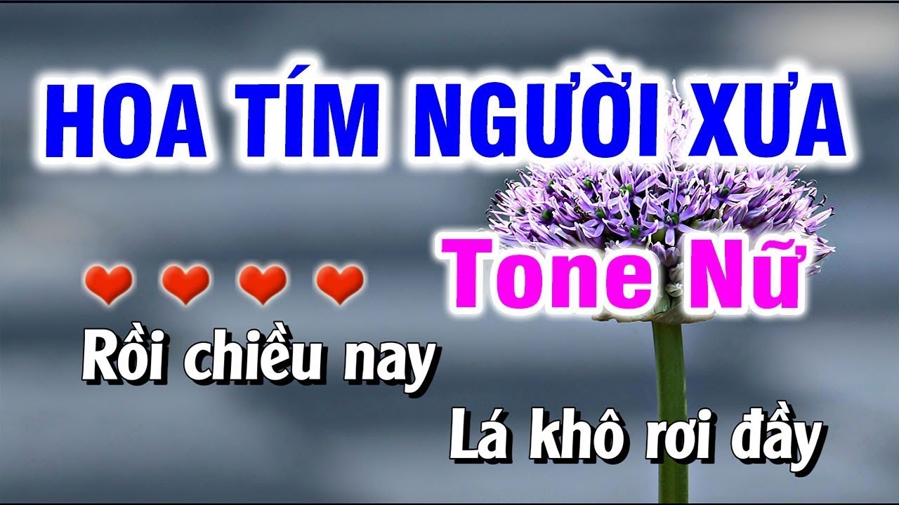Karaoke Hoa Tím Người Xưa Tone Nữ Nhạc Sống