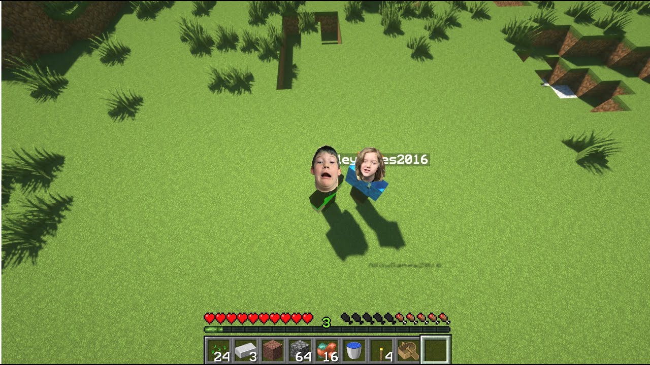 Minecraft Riley Minecraft with Riley Look in the description. - YouTube