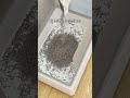 BEST Cat Litter For A Clean Home BEST Cat Litter For A Clean Home