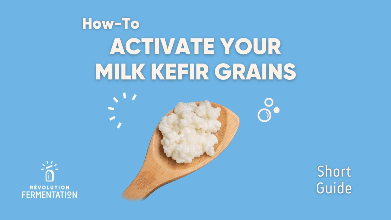 How to Maintain Kefir Grains: Complete Fermentation Guide