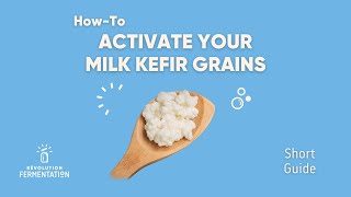 MILK KEFIR GRAIN ACTIVATION — Positively Probiotic