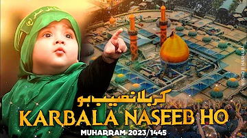 Karbala Naseeb Se Jana Naseeb Ho | Mola Hussain WhatsApp status | #muharram2023 | Ishq e Hasnain