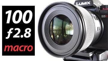 Lumix S 100mm f2.8 MACRO review: IN-DEPTH!