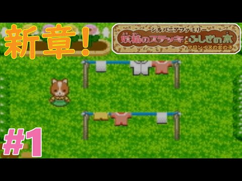 再び帰ってきたシルバニアファミリー【シルバニアファミリー 妖精の