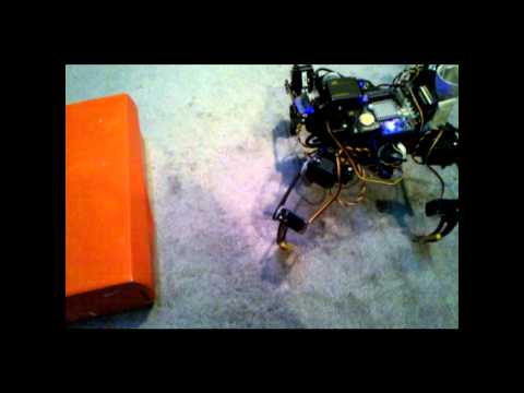 Freddy - Quadruped Video Based Voice Controlled Ro...