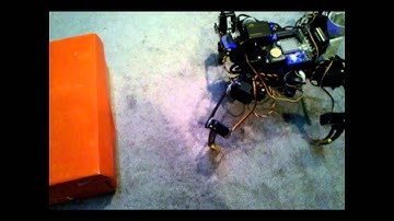 Freddy - Quadruped Video Based Voice Controlled Robot - Austin Duff