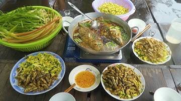 Đặc Sản Mùa Nước Nổi 2024, Cá Linh Chiên Giòn trộn gỏi Bông Điên Điển | Nét Quê #533