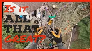 Silky Smooth Climbing with the Rope Runner Pro Removing a Quercus Rubra