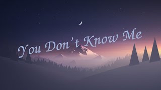 Video thumbnail of "You Don't Know Me - Ofenbach, Brodie Barclay ( Lyrics video )"