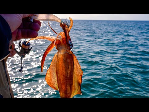 Basic Squid Fishing How Catch - Southern Calamari Beginner's Guide