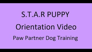 S.T.A.R. Puppy Orientation