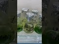 Лабораторія