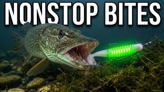 Night Fishing Tips | How to Make Soft Plastic Lures Glow Brighter screenshot 5