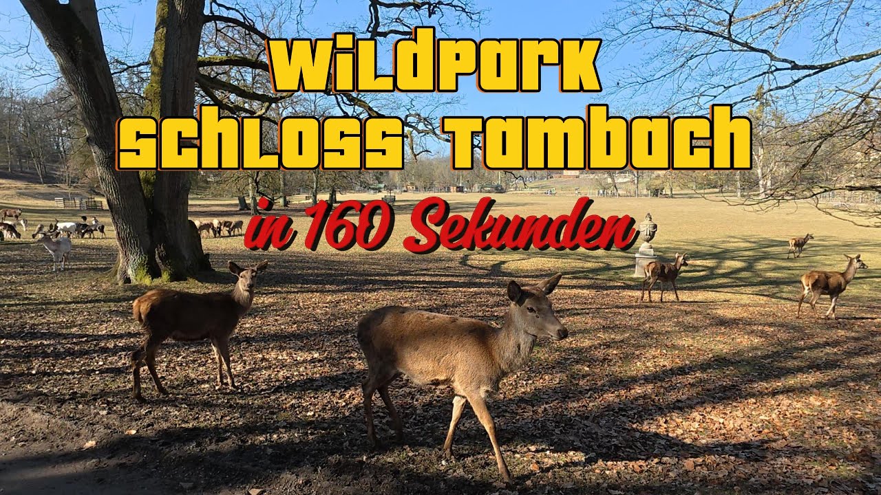 Tambach WildPark Schloss Tambach im März in 160 Sekunden - YouTube