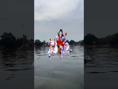 Bol bam 💥 #channel #video #shortsviral #love #viral #viralvideos #bolbam