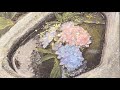 パステル画#62『アジサイ寺』 Pastel Painting softpastelart 風景画 絵の描き方 How to できるまで タイムラプス drawing landscape