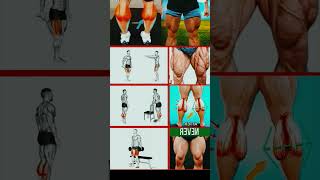 Lag exercise #fitness #fitnessworkout #sports #youtubeshorts #Gymfitness #workout #viralshort 🏋🏋🏋