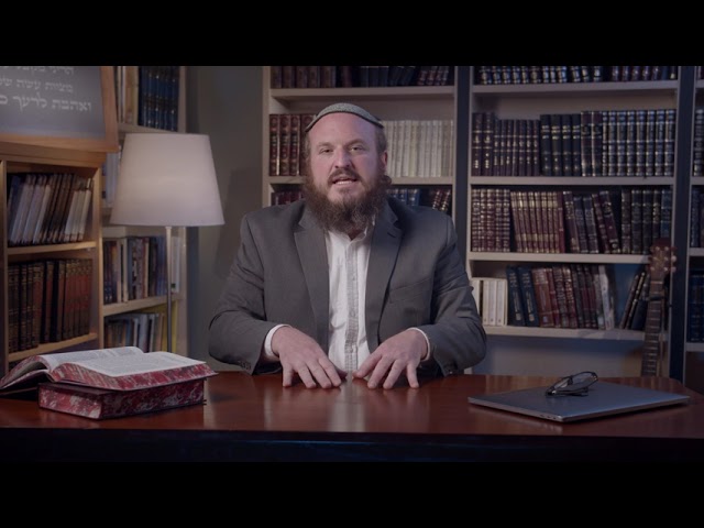 סיפורי חסידים עם הרב שלמה כ״ץ: תצפית בשבת ש ריז'נר 93