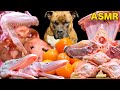 MUKBANG ASMR Dog eating Raw Meats!Omnibus 11【American Bully】