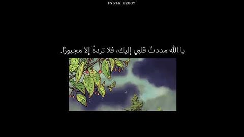 سورة فاطر؛القارئ ماهر المعيقلي🤍.