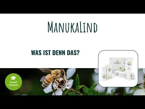 Inuvet Campus-Webinar: Medizinischer Honig in der Tiermedizin - YouTube