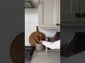 Zero Regret Amazon Decor Finds 🔥 Stylish & Affordable!
