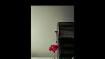 سورة يوسف آية 101 الشيخ المنشاوي