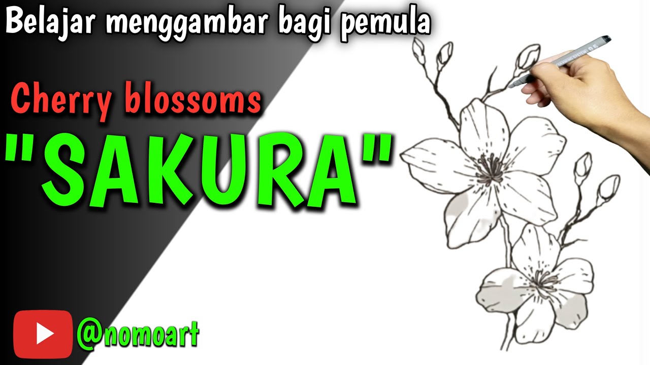How to draw a cherry blossoms || cara mudah menggambar bunga sakura ...