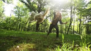 Sorin & Lulu - Border Collie Planned Litter, Summer 2017 by ZolzaBC 55,921 views 6 years ago 2 minutes, 29 seconds