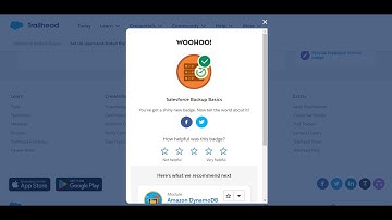 Salesforce Backup Basics In Trailhead Salesforce