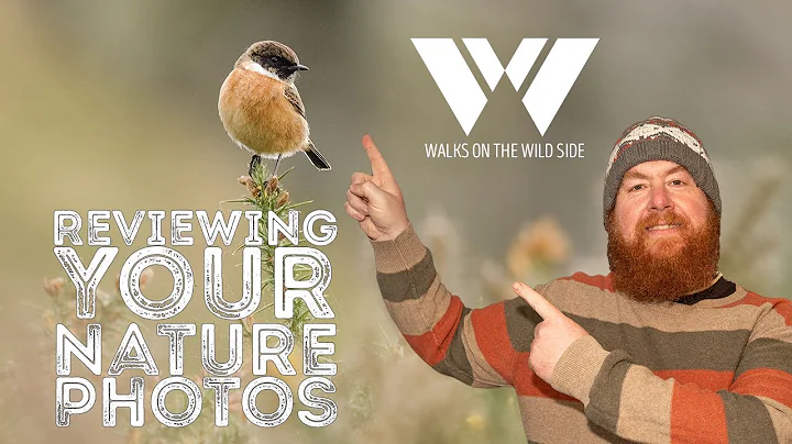 Your Nature Photos Reviewed: Walks With You Episode 1 - DayDayNews